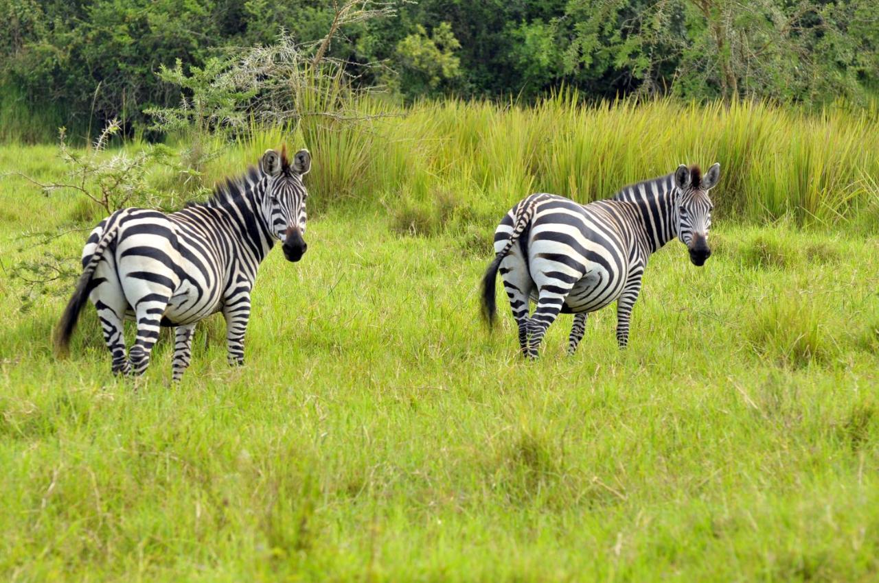 Victoria Lake View Guesthouse & Safaris Энтеббе Экстерьер фото